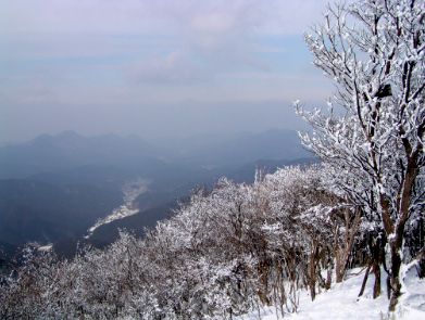 おーちゃんとゆかいな仲間 三峰山